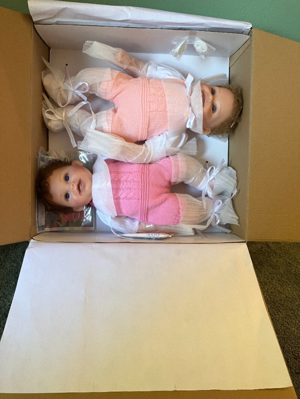 Ashton Drake Collectible twin doll set